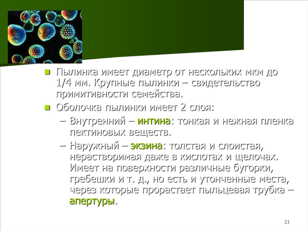 21 Пылинка имеет диаметр от нескольких мкм до 1/4 мм. Крупные пылинки – свидетельство